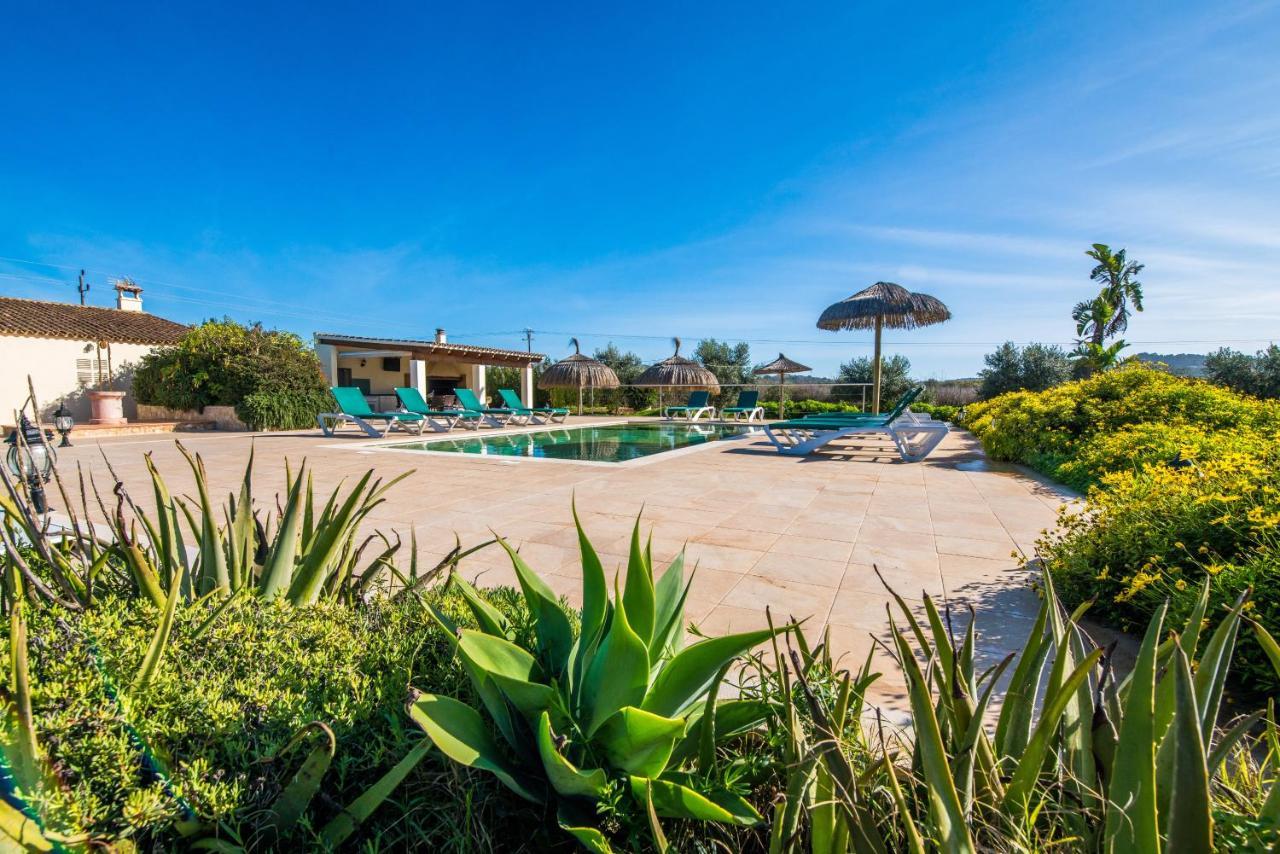 Finca Cas Padrins Manacor  Exterior photo